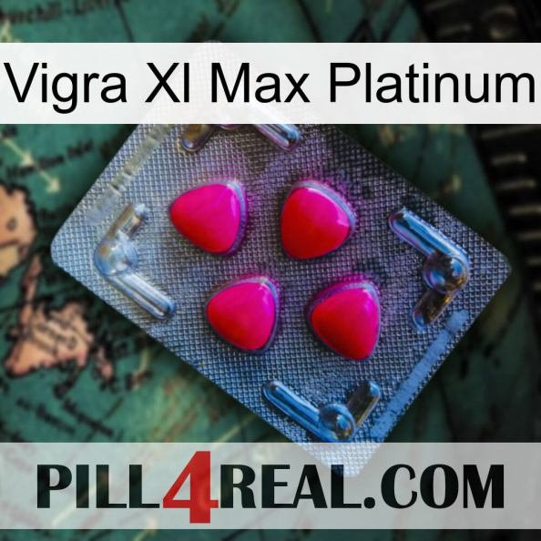 Vigra Xl Max Platinum 13.jpg